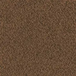 (CV GRANI) Nude Ântico